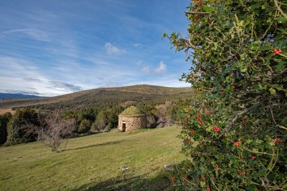 Ruta del Acebal de Garagüeta