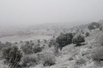Nieve en las inmediaciones de Soria capital.