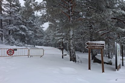 Aspecto que tenía ayer el acceso a los Picos de Urbión.