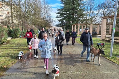 Un momento del desfile en la Arboleda de Almazán.