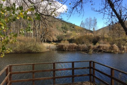 Ruta por Soria y vistas al Duero