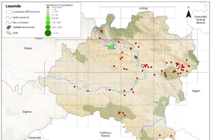 Distribucuión de las aves hibernantes en Soria en enero de 2025, con los puntos verdes con muestreos positivos y los rojos sin encontrar ejemplares.