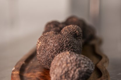 Ejemplares de trufa ya limpios.