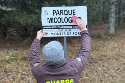 Colocación de un cartel del Parque Micológico Montes de Soria, el mayor de España, que ya pone a la venta sus permisos para 2026.