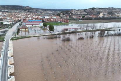 El Desbordamiento del Duero cerca el casco urbano de Langa y afecta ya a instalaciones deportivas.