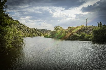 El barco turístico navegará aguas abajo de San Saturio.