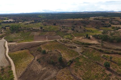 Foto del Valle de Atauta, donde se encuentra la bodega soriana.
