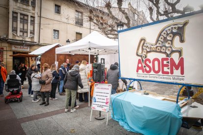 Una de las actividades que organiza la Asociación de Esclerosis Múltiple de Soria.