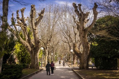 El parque de la Dehesa de Soria en marzo del pasado año.