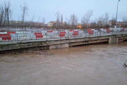 Subida del caudal del Duero en el puente de Almazán en la crecida de febrero.