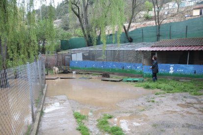 Actuales instalaciones de la protectora Redención.