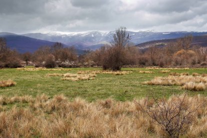 Panorámica del paisaje cercano a Villar del Ala, en el Valle de la Mantequilla de Soria, con praderas y al fondo las cumbres nevadas de la Sierra de Urbión a comienzos de primavera