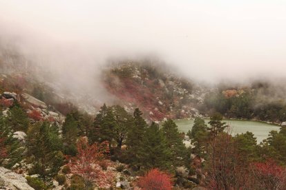 La Laguna Negra, envuelta en niebla y rodeada de pinares, ofrece una imagen que recuerda a los paisajes salvajes de Noruega