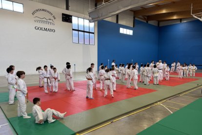 El Provincia del Judo se celebró en el polideportivo de Las Camaretas.
