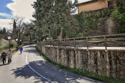 Árbol peligroso con la zona precintada