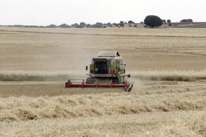 Una cosechadora en un campo de Soria.