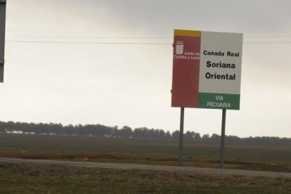 Cañada Real Soriana por la zona de Aldealafuente en una imagen de archivo.