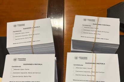 Papeletas para las elecciones al Rectorado de la UVA.