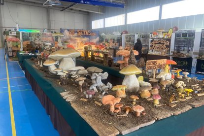 Exposición reciente de Montes de Soria.