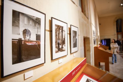 La exposición se puede ver en el Archivo Histórico Provincial de Soria.