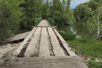 Aspecto del puente sobre el Duero en la senda peatonal, afectada por las últimas riadas y todavía sin arreglo.