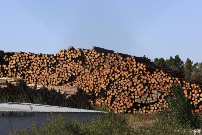 Madera almacenada en el aserradero de Losán en Soria.
