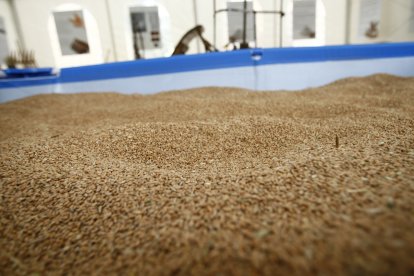 UCCL alerta de que los costes suponen 200 euros más por hectárea que el año pasado.