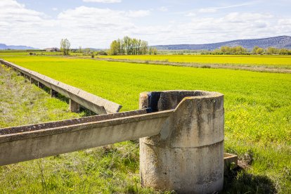 Canal del Campillo de Buitrago.