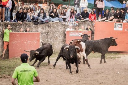 Critican la presencia de Martínez en el encierro del Lavalenguas.
