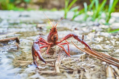 Hay que tener en cuenta los lugares de pesca