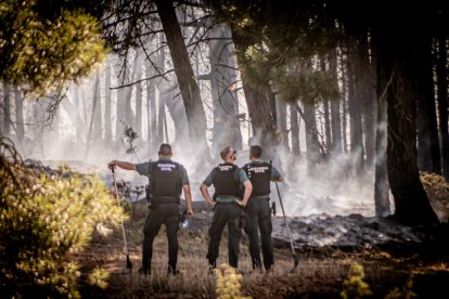 El incendio obligó a movilizar numerosos medios