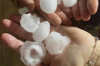 La tormenta del 28 de junio dejó 30.000 hectáreas afectadas por pedrisco en Soria y Burgos.