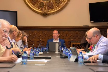 Diputados provinciales en la Comisión de Reto Demográfico.