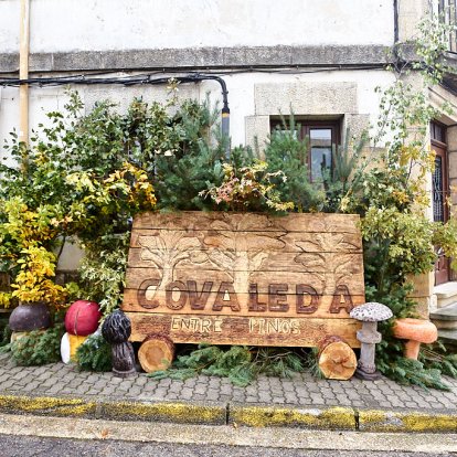 Decoración de las jornadas micológicas en Covaleda el pasado fin de semana.