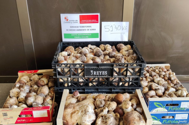 El decomiso más cuantioso se produjo en Covaleda, donde se superaron los 50 kilos.