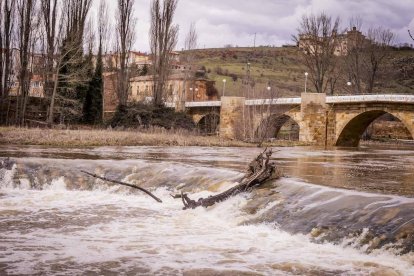 Un paseo junto al Duero sirve como muestra de la bravura de las aguas