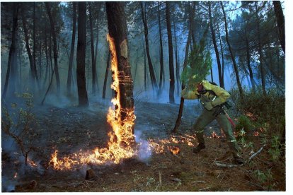 El Incendio de Izana quemó parte de Matamala de Almazán y Tardelcuende