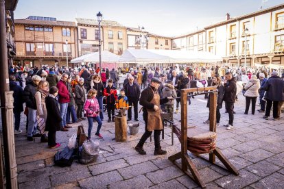 Expositores y actividades de todo tipo