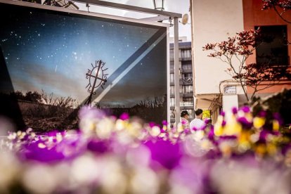 Una de las distintas muestras que OnPhoto Soria traerá en esta edición