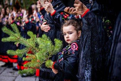 Una celebración festiva que conmemora cuando el pino se convirtió en arma