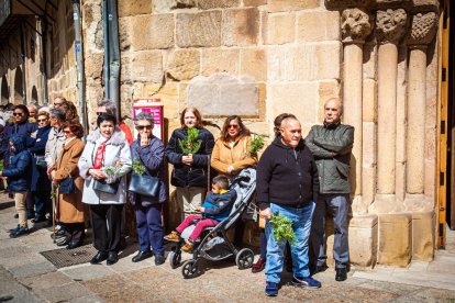 Procesión de la borriquilla en el Domingo de Ramos. MARIO TEJEDOR (5)