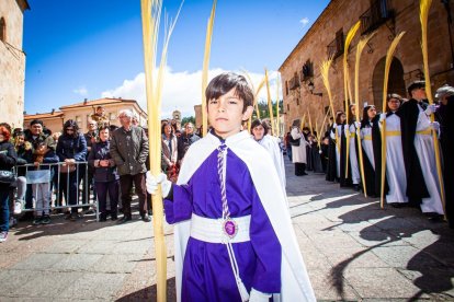 Procesión de la borriquilla en el Domingo de Ramos. MARIO TEJEDOR (14)