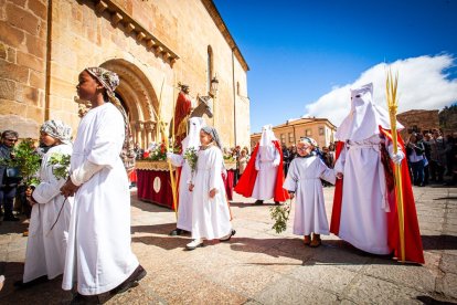 Procesión de la borriquilla en el Domingo de Ramos. MARIO TEJEDOR (21)