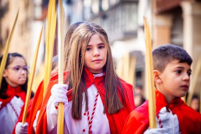 Procesión de la borriquilla en el Domingo de Ramos. MARIO TEJEDOR (33)