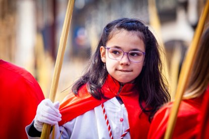 Procesión de la borriquilla en el Domingo de Ramos. MARIO TEJEDOR (34)