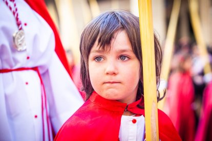 Procesión de la borriquilla en el Domingo de Ramos. MARIO TEJEDOR (38)