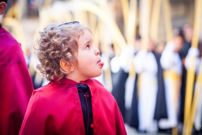 Procesión de la borriquilla en el Domingo de Ramos. MARIO TEJEDOR (39)