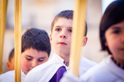 Procesión de la borriquilla en el Domingo de Ramos. MARIO TEJEDOR (41)