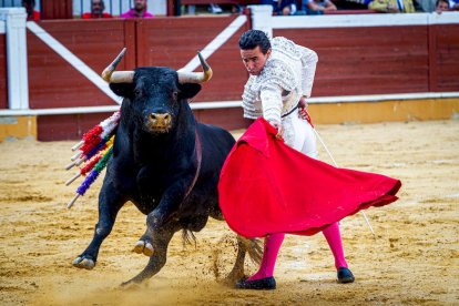 Feria taurina de San Saturio. MARIO TEJEDOR (28)