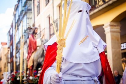 Procesión de la borriquilla en el Domingo de Ramos. MARIO TEJEDOR (48)